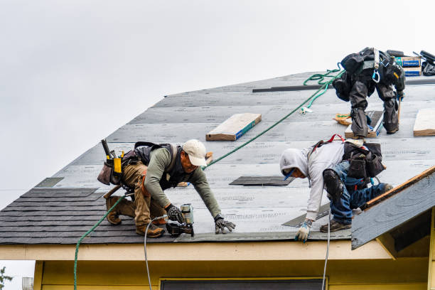 Professional Roofing technician working in Yawkey, WV